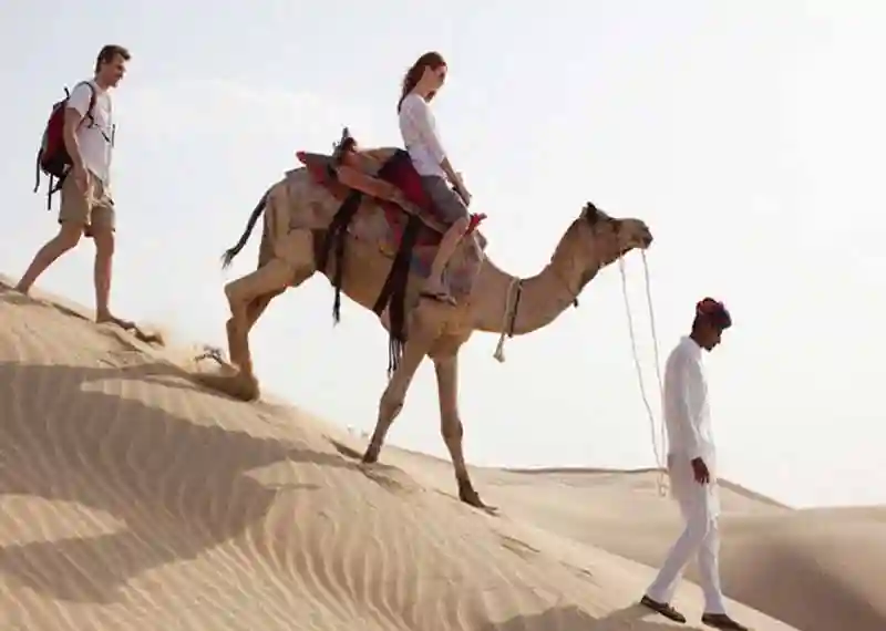 Rajasthan Honeymoon Packages